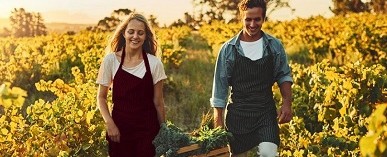 Obrázek ke článku Pojištění plodin: spolehlivá pomocná ruka pro pěstitele